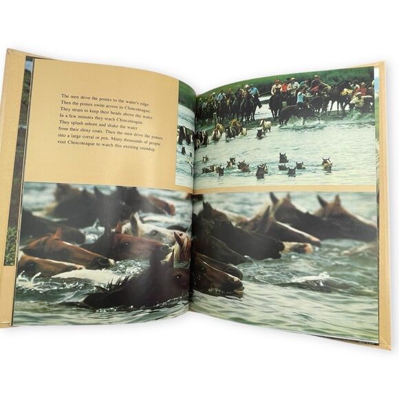 Three Little Indians Wild Ponies Assateague Island National Geographic Books - Picture 13 of 16